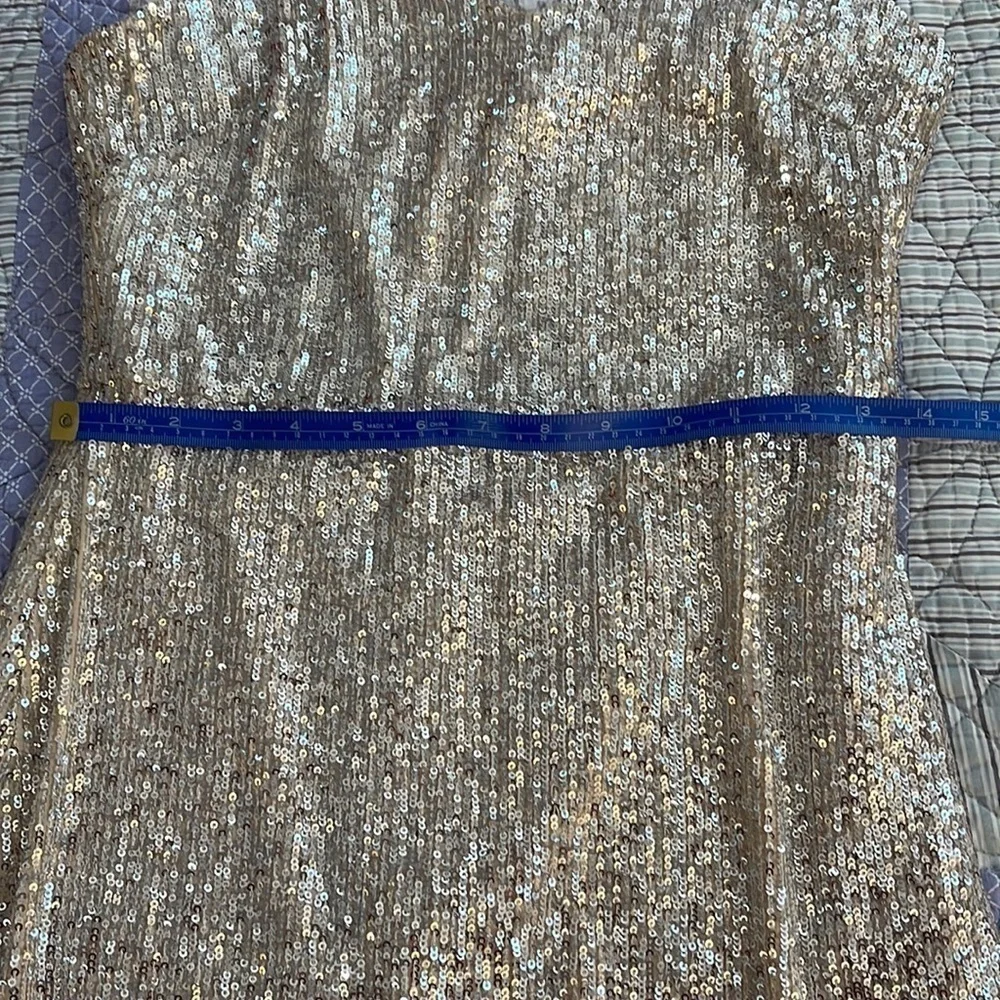 Ramy Brook Gold Sequin Maxi Dress - Picture 8 of 15
